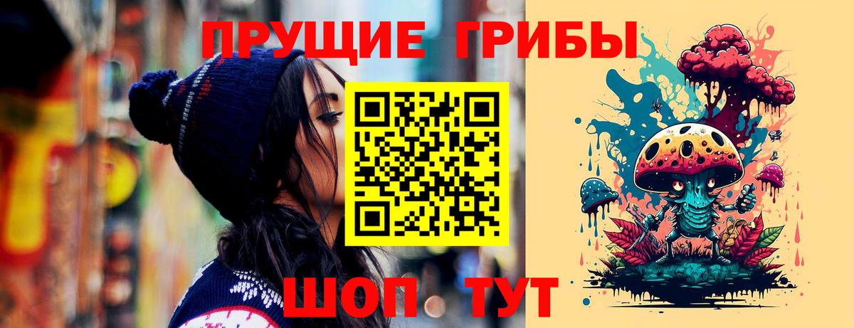 продажа наркотиков  Псилоцибиновые грибы Psilocybine cubensis  Гусев  Вход с VPN  Галлюциногенные грибы GOLDEN TEACHER 